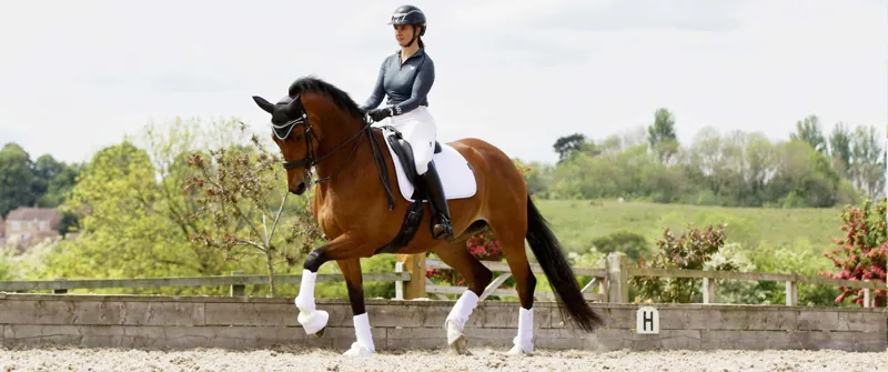 Woof Wear Training Wrap - White-2